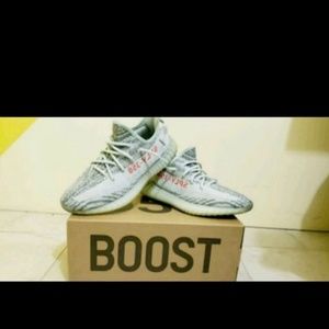 Adidas yeezy boost 350 V2.